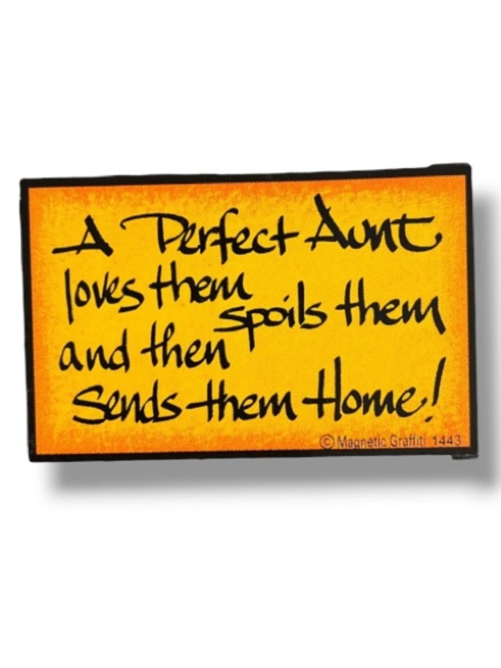 Aunt Humor Magnet A Perfect Aunt Loves Them Spoils Them & Then Sends Them Home